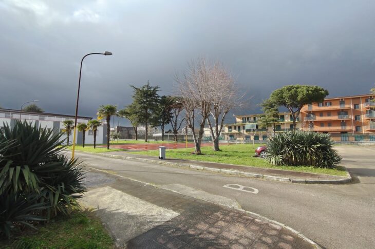 IMG-20260409-WA0035